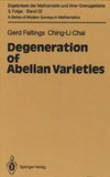 Faltings G., Chai C.  Degeneration of abelian varieties