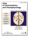 Netter F., Craig J., Perkins J. — Atlas of Neuroanatomy and Neurophysiology