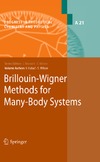 Ivan Hubac, Stephen Wilson  Brillouin-Wigner Methods for Many-Body Systems (Progress in Theoretical Chemistry and Physics)