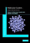 Fehlner T., Halet J., Saillard J.  Molecular Clusters: A Bridge to Solid-State Chemistry (Cambridge Molecular Science)