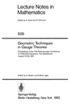 Martini R., Jager E.  Geometric Techniques in Gauge Theories