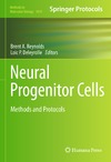 Chojnacki A., Weiss S., Reynolds B.  Neural Progenitor Cells: Methods and Protocols