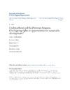 Balb&#237;n C.L.G.  Hidrocarburos y Amazon&#237;a peruana: &#191;Superposici&#243;n de derechos u oportunidades para el desarrollo sostenible?