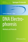 Makovets S.  DNA Electrophoresis: Methods and Protocols