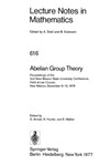 Arnold D., Hunter R., Walker E.  Abelian Group Theory