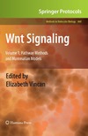 Vincan E.  Wnt Signaling: Pathway Methods and Mammalian Models