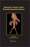 Naito S., Hirao Y., Terachi T.  Endoscopic Surgery of the Potential Anatomical Spaces