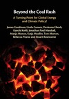 Goodman J.  Beyond the coal rush: a turning point for global energy and climate policy?