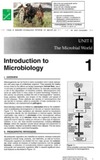 Strohl W., Rouse H., Champe P.  Lippincott's Illustrated Reviews: Microbiology