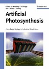 Collings A. F., Critchley C.  Artificial Photosynthesis: From Basic Biology to Industrial Application