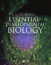 Slack J. M. W.  Essential Developmental Biology