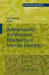 Jan Tachezy  Hydrogenosomes and Mitosomes: Mitochondria of Anaerobic Eukaryotes