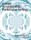 Konforti B.(ed.)  Nature Structural and  Molecular Biology