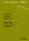 L.Ambrosio, N. Gigli, G.Savare  Gradient Flows: In Metric Spaces and in the Space of Probability Measures (Lectures in Mathematics. ETH Zurich)