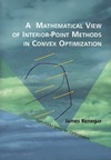 Renegar J.  A mathematical view of interior-point methods in convex optimization