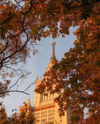 Красота