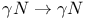 $\gamma N \rightarrow \gamma N$